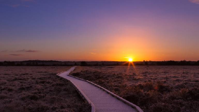 Clara Bog Nature Reserve