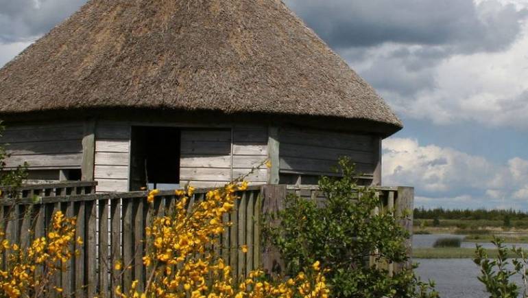 Lough Boora Discovery Park